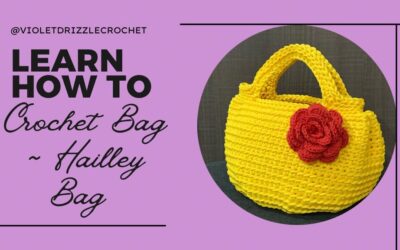 Protected: Crochet Hailley Bag